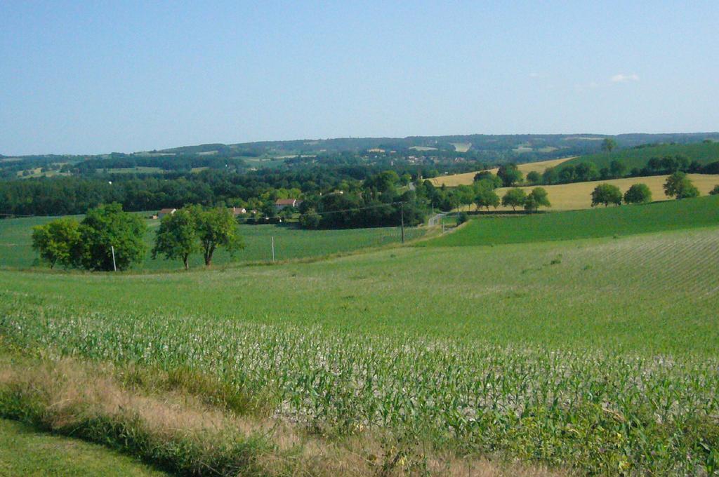 Les Gites De La Treille Montagrier Buitenkant foto